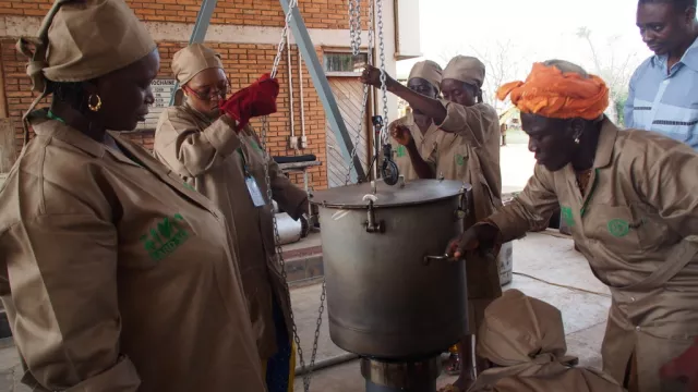 AfricaRice and CNRA strengthen capacity 3