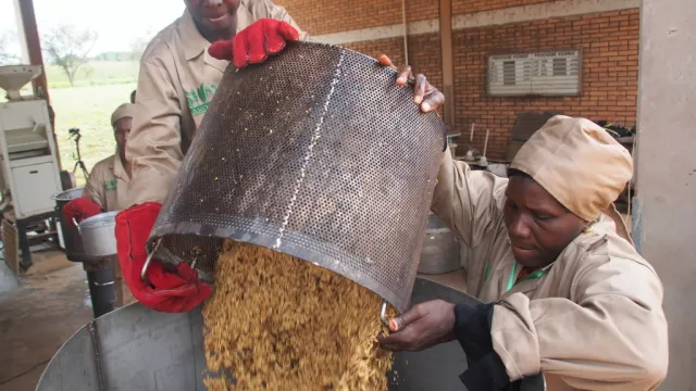 AfricaRice and CNRA strengthen capacity 9