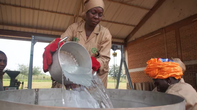 AfricaRice and CNRA strengthen capacity 10