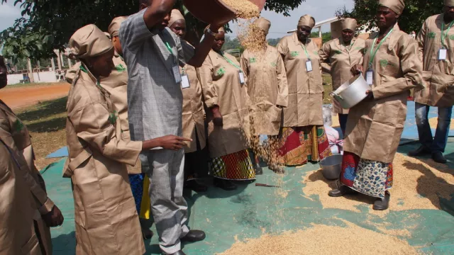 AfricaRice and CNRA strengthen capacity 14