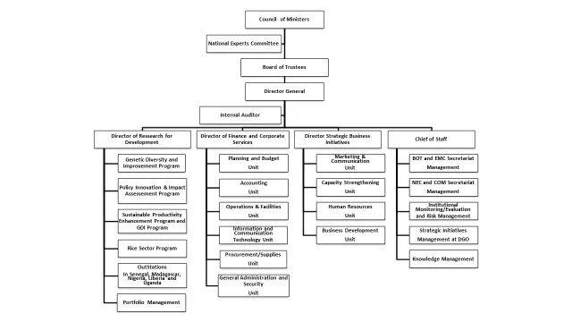 AfricaRice Organogram November 2020