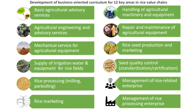 12 Key Areas