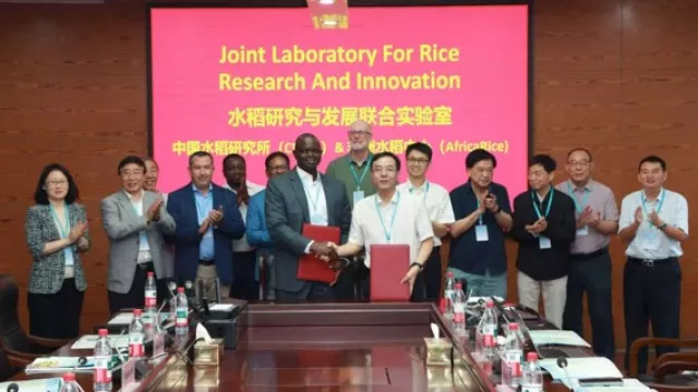 AfricaRice DG, Dr. Baboucarr Manneh (left) and CNRRI DG, Dr. Jiang Renhua (right) after MoU signing. 