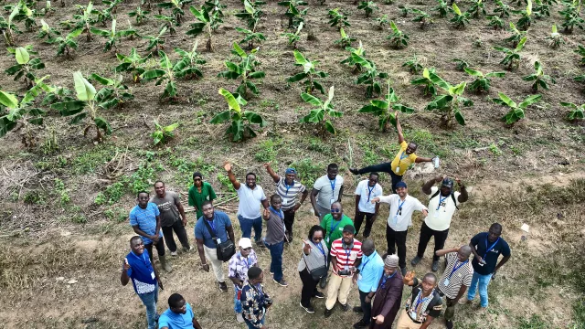 Workshop participants gather around drone equipment at CNRA's experimental fields in Anguédédou, Abidjan, during the hands-on drone phenotyping session.