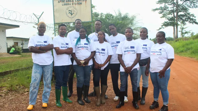 AfricaRice_LIB_Interns_2026-07_v02.jpg