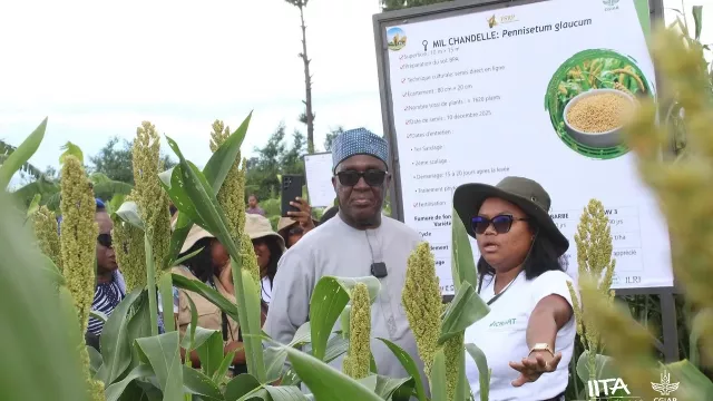 The CGIAR delegation observes crops established at the innovation park at FIFAMANOR during field visits in Antsirabe.