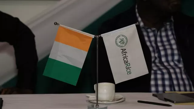 Flags