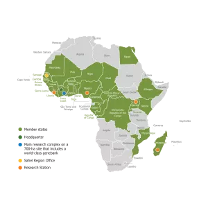 Map of AfricaRice countries
