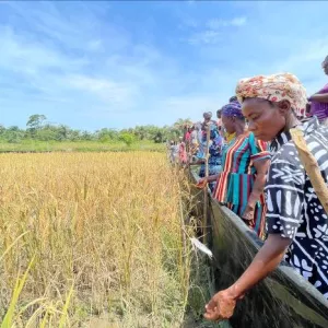 African women farmers