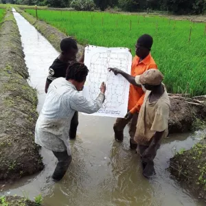 Massive scaling of Smart-Valleys in Africa