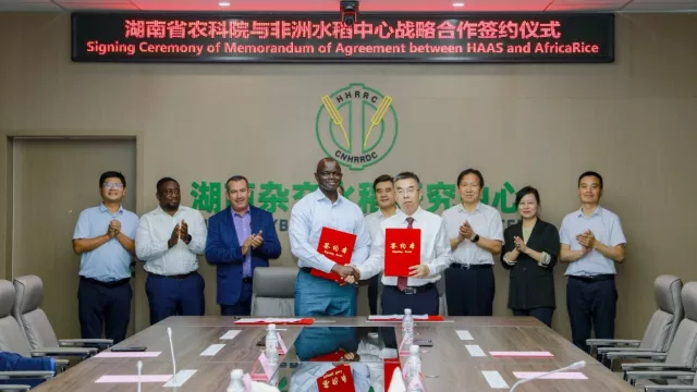 AfricaRice DG, Dr. Baboucarr Manneh (on the left) and HNAAS President, Prof. Yu Yinghong (in the right) after MoA signing.