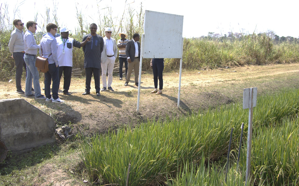 Field Visit 